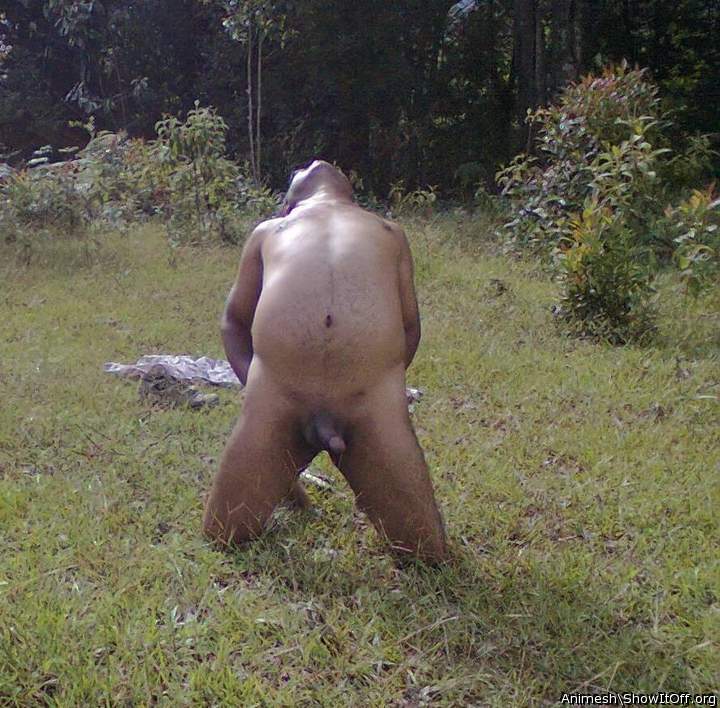 Adult image from Animesh