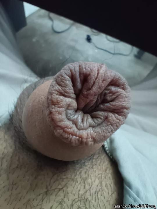 Adult image from alanck