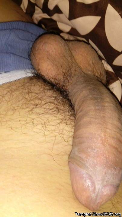 Adult image from Templar
