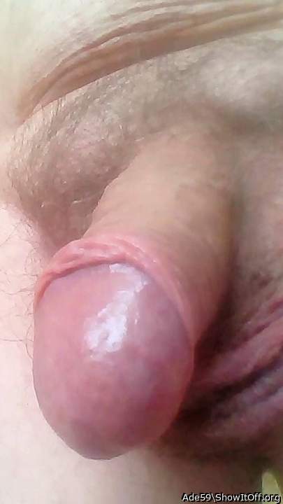 Adult image from Ade59