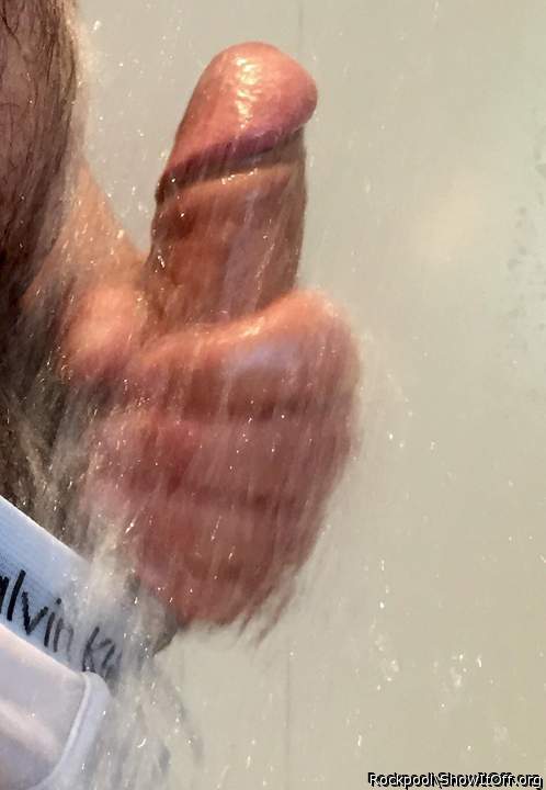 Adult image from Rockpool