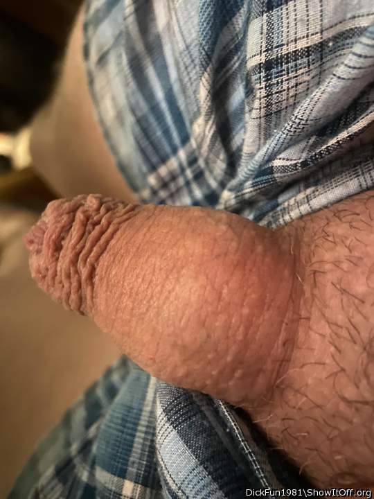 Adult image from DickFun1981