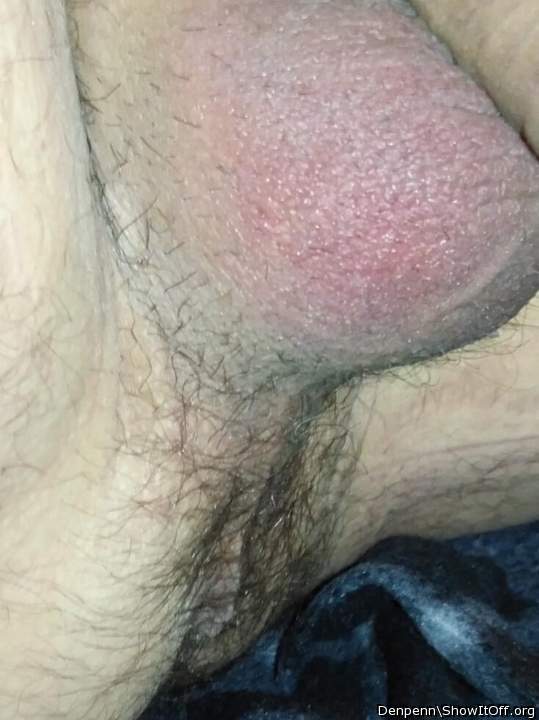 Adult image from Denpenn