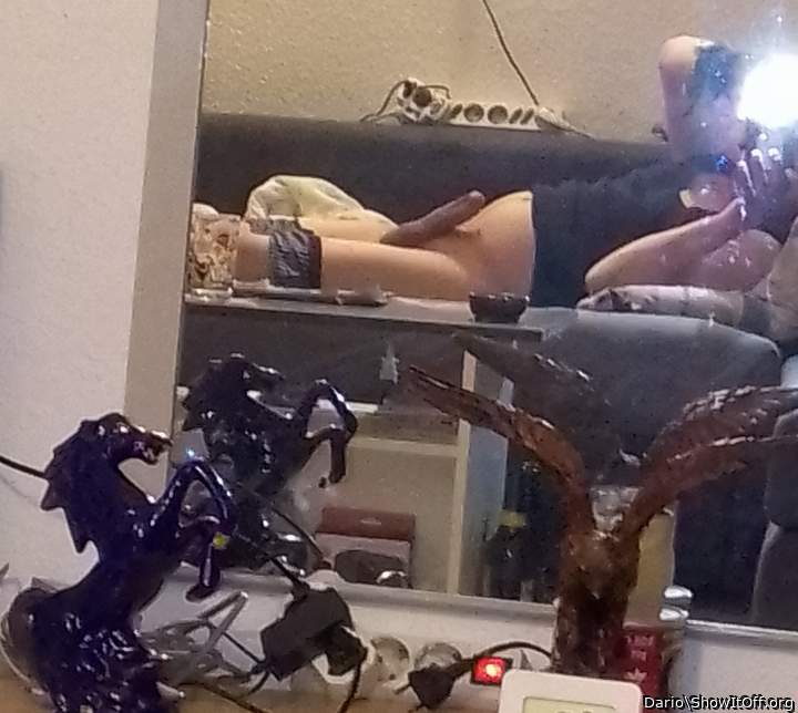 Adult image from Dario