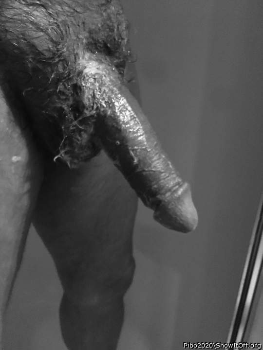 Adult image from Pibo2020