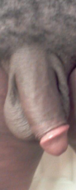 Adult image from Assman80
