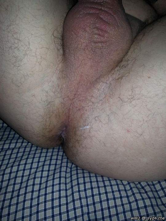 Adult image from WILLI2