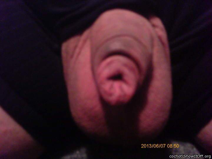Adult image from cochot