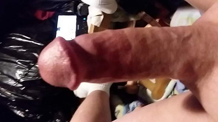 Adult image from fish4free