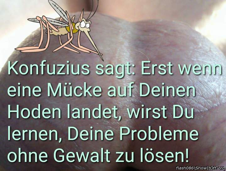 M�cke