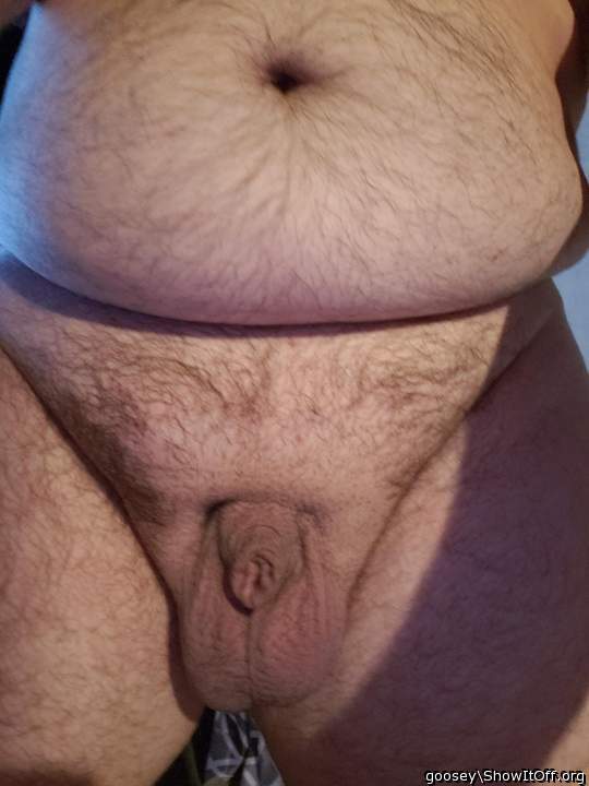 Adult image from Goosey