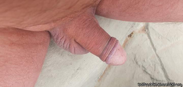 Adult image from Stiffcock59