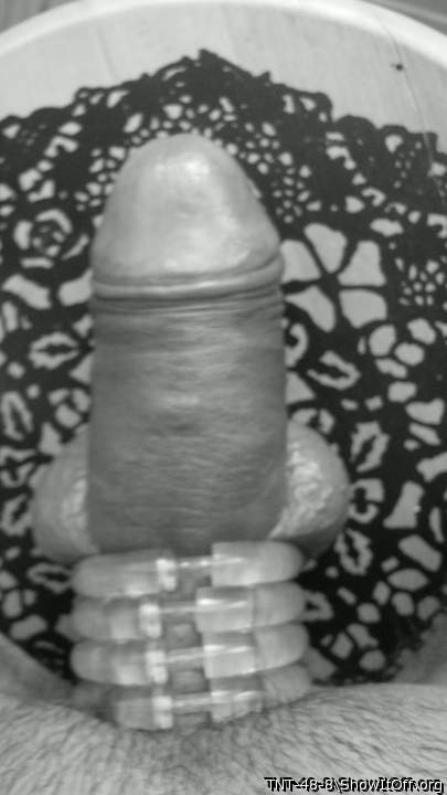 Adult image from TNT-48-8