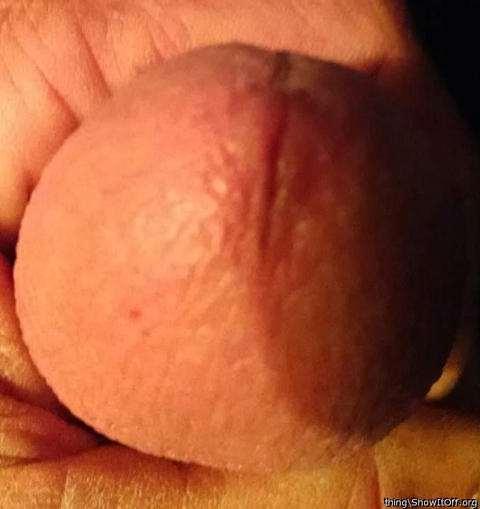 any women want to suck on this