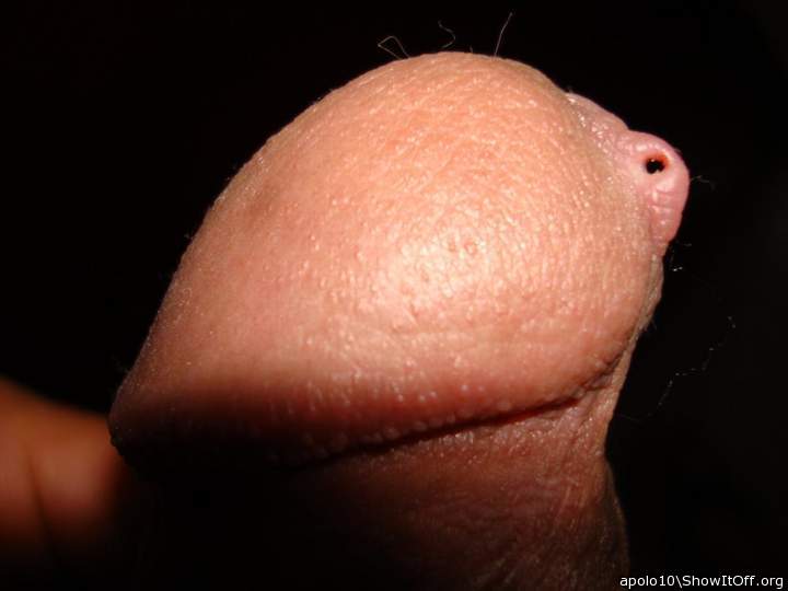 Adult image from apolo10