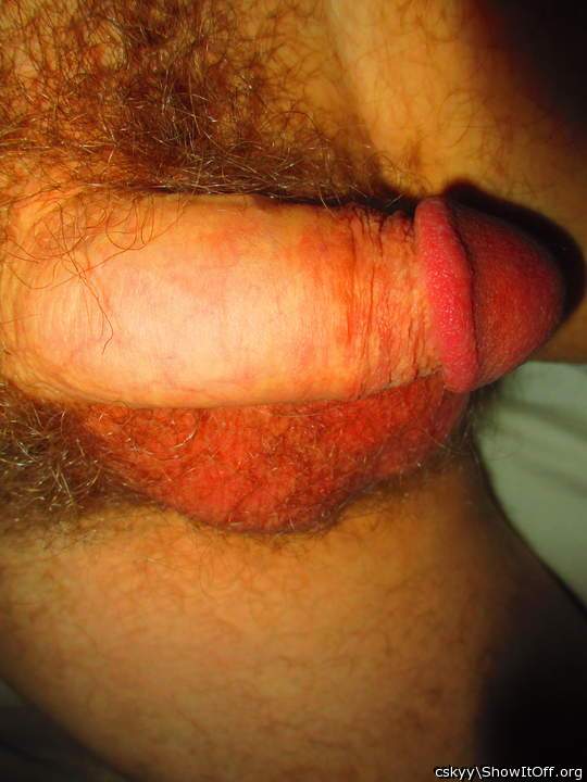 Adult image from cskyy