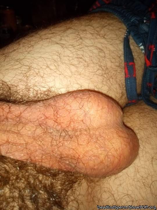Adult image from DeadEndSperm
