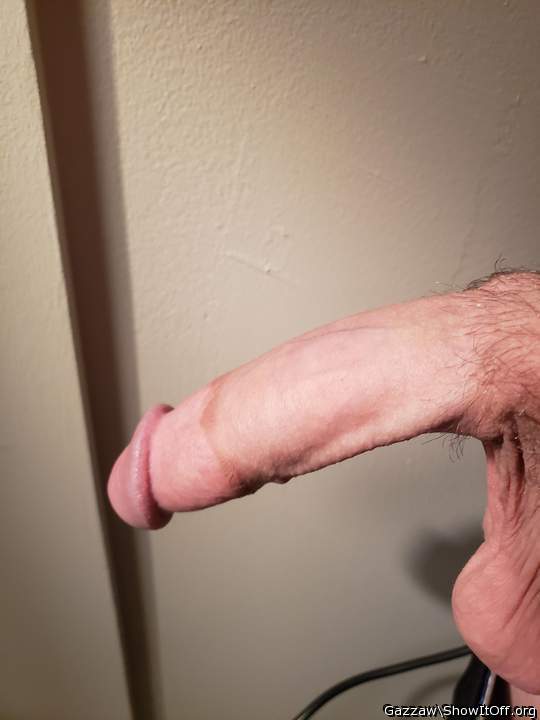 Adult image from Gazzaw