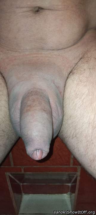 Penis