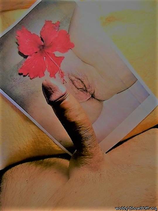 Adult image from woddy