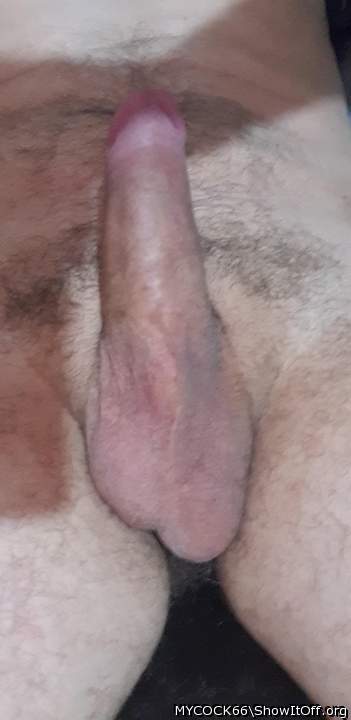 Adult image from MYCOCK66