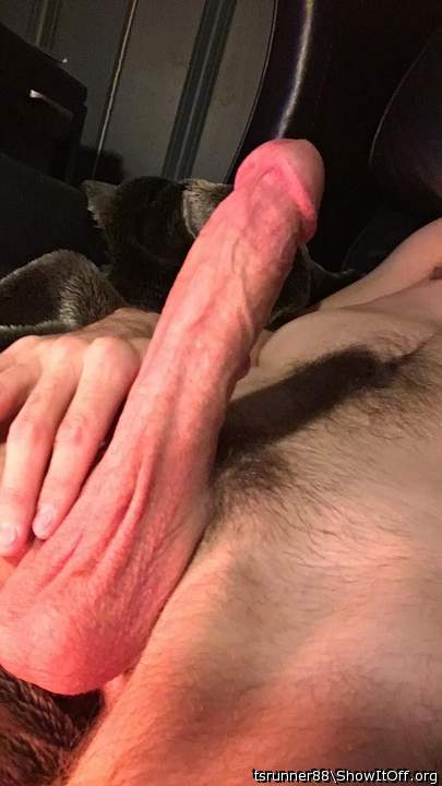 Adult image from tsrunner88