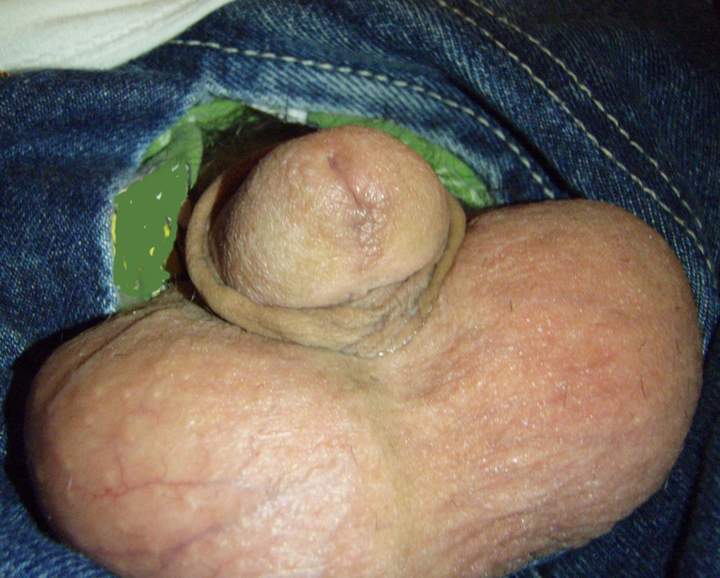 Adult image from lilsoftee