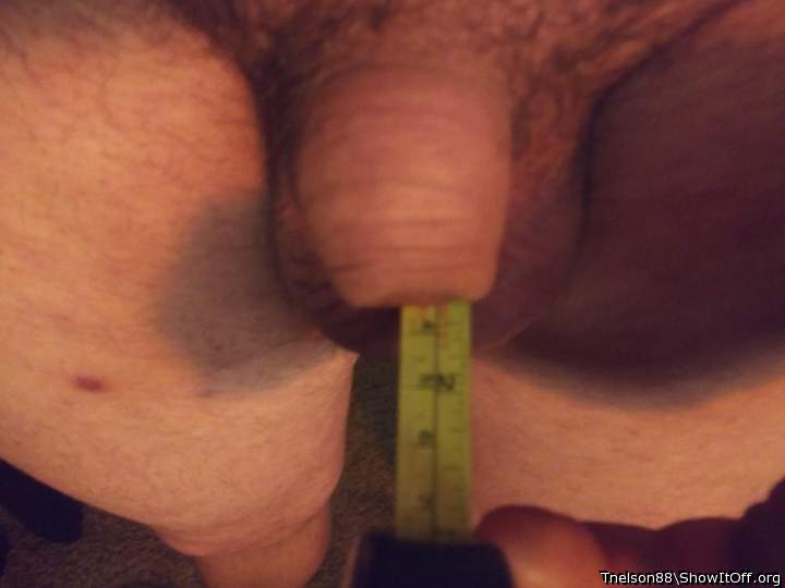 Adult image from Tnelson88