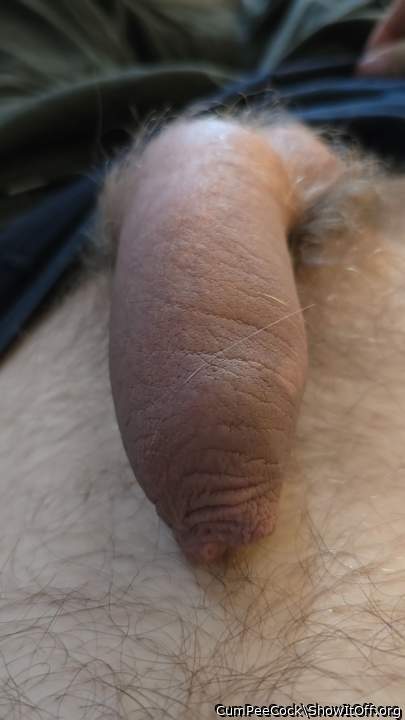 fantastic dick 