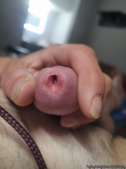 Adult image from 4playking
