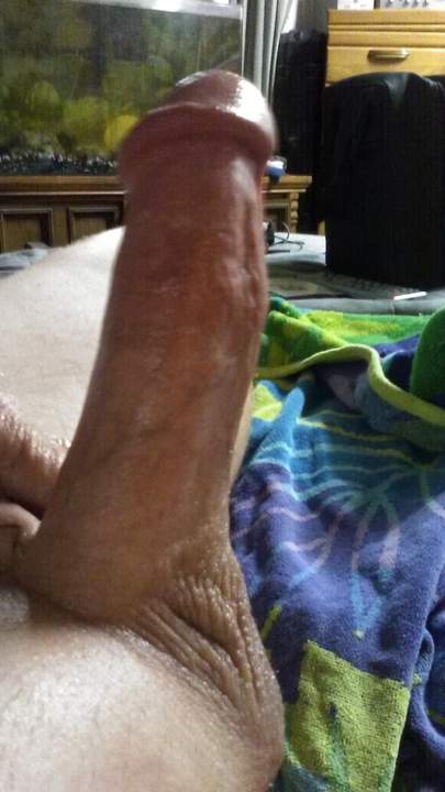 Adult image from fish4free