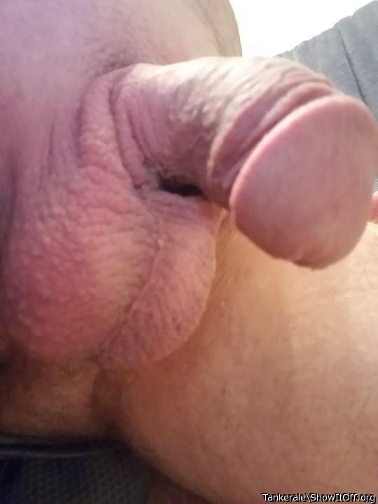 Adult image from Tankerale