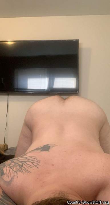 Adult image from Cbus93