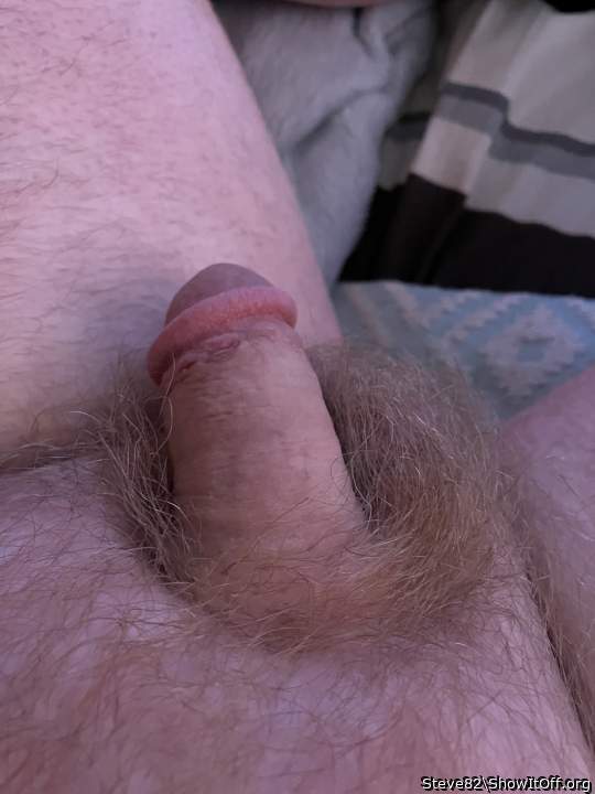 Adult image from Steve82