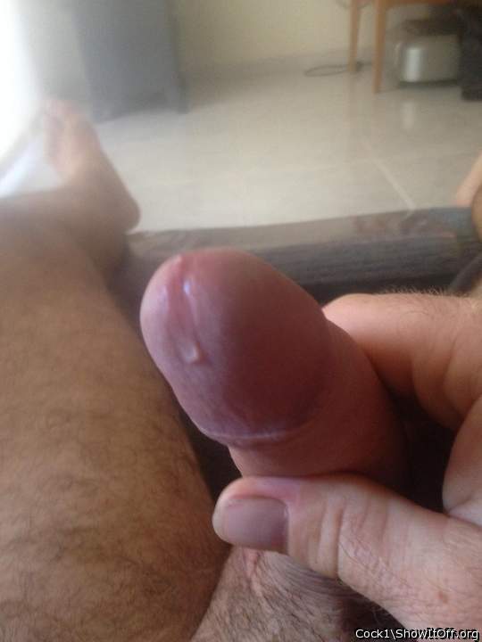 Adult image from Cock1