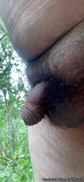 very nice penis and foreskin