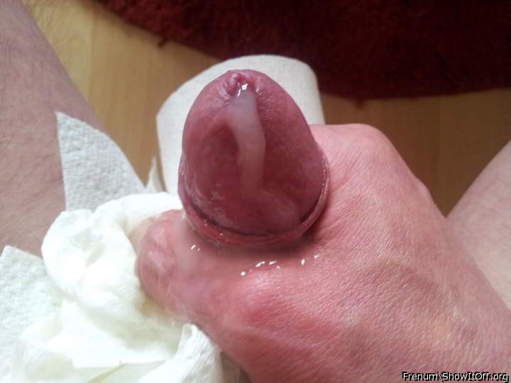 Adult image from Frenum