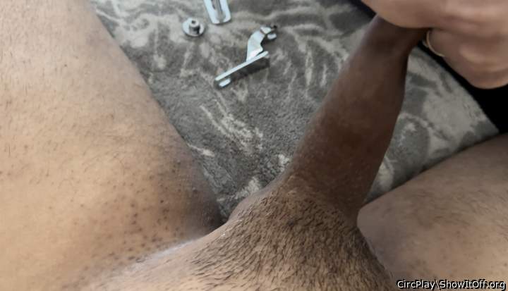 Adult image from CircPlay