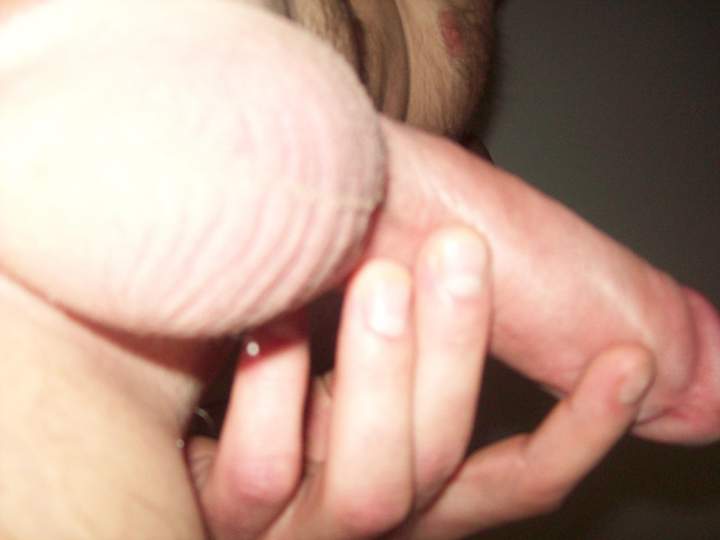 Adult image from Hornyashell