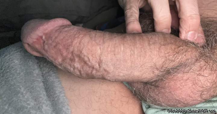 Adult image from Pibo2020