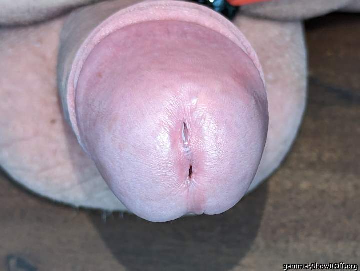 Adult image from gamma