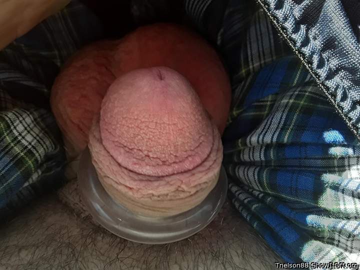 Adult image from Tnelson88