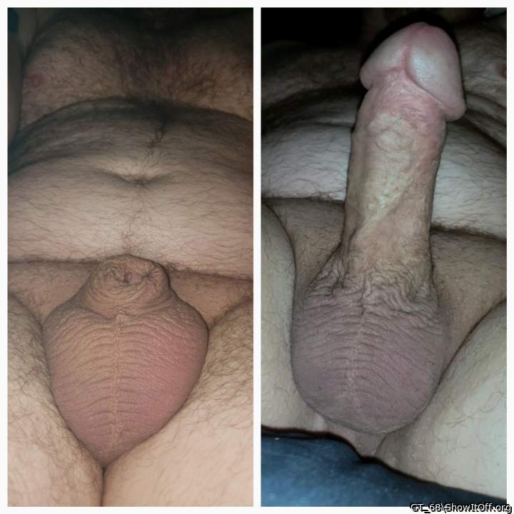 Adult image from GT_68
