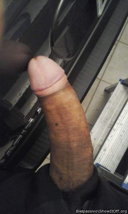 Adult image from BielPassivo