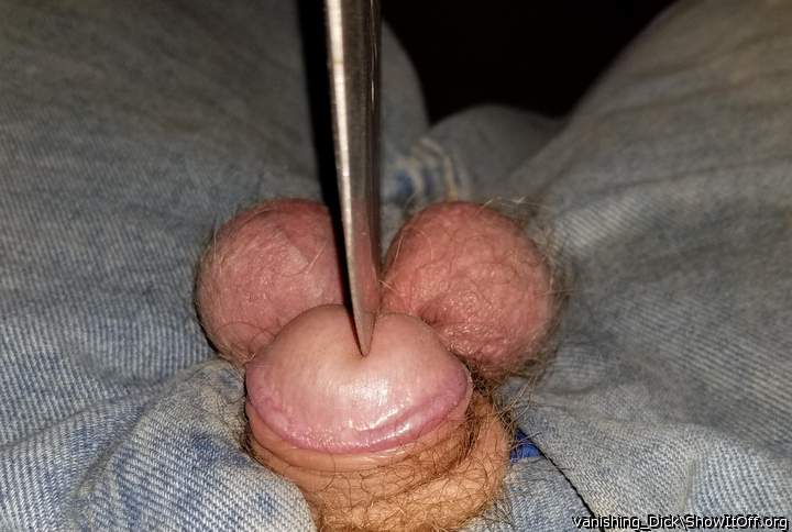 Adult image from vanishing_Dick