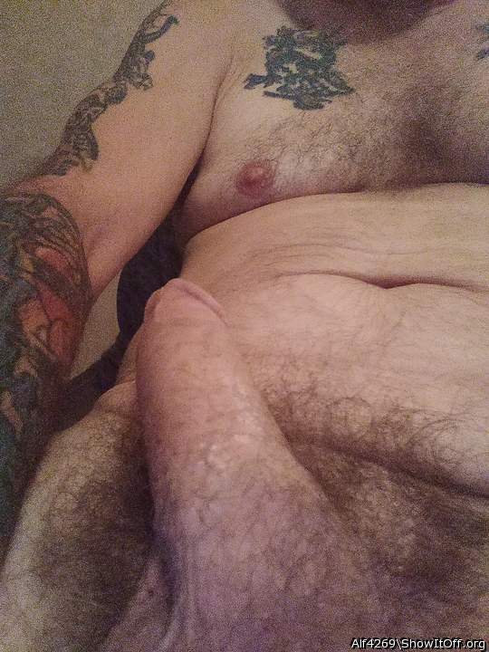Adult image from Alf4269