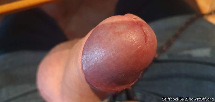 Adult image from Stiffcock59