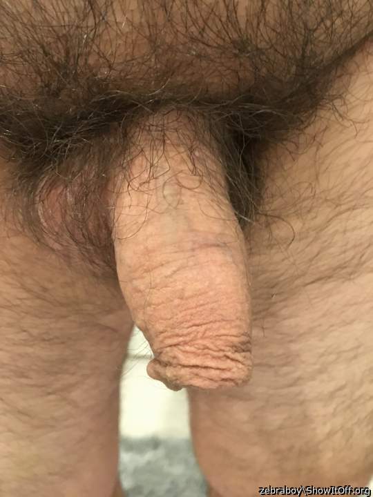 Adult image from zebraboy