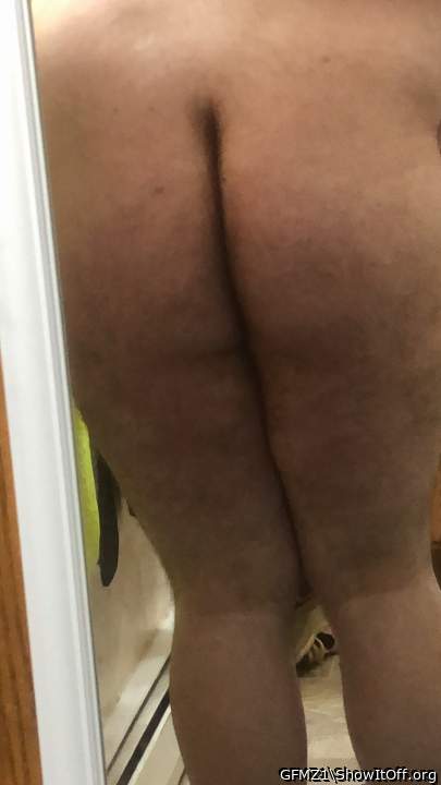 Adult image from GFMZ1