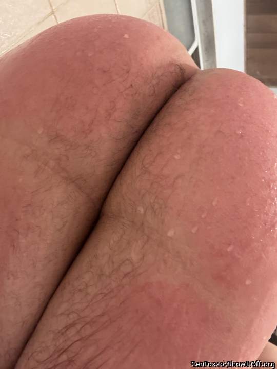 Adult image from CenFoxxo